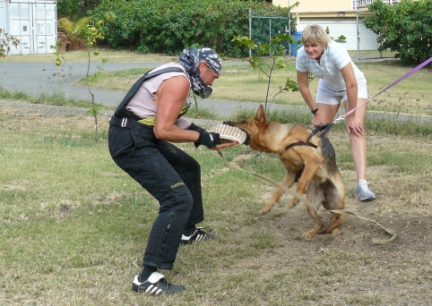 Seminar on Virgin Islands 2008